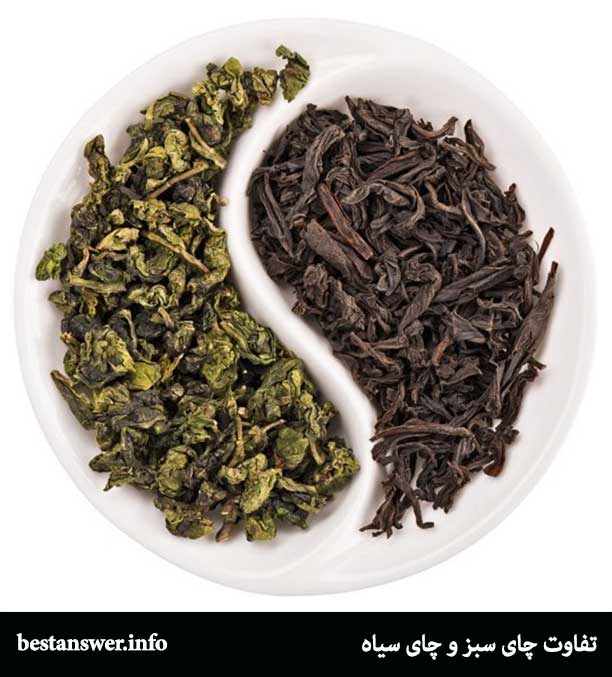 تفاوت چای سبز و چای سیاه چیست
