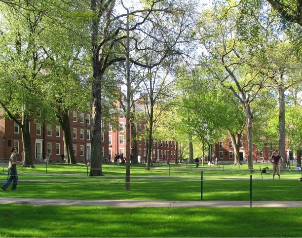 عکس حیاط و محوطه فضای سبز دانشکده ها - دانشگاه هاروارد - Campus